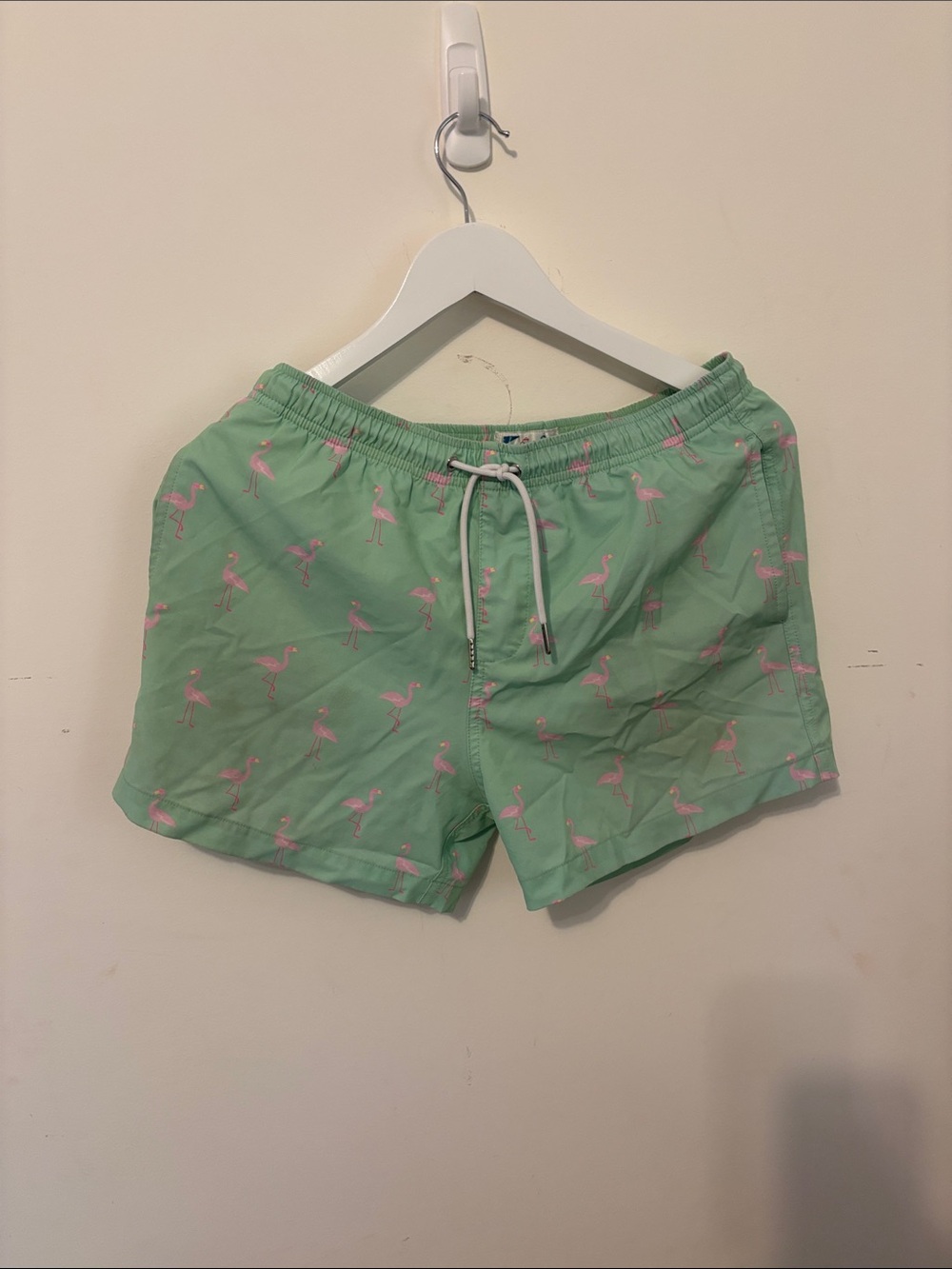 Men's Mint Green Flamingo Swim Trunks